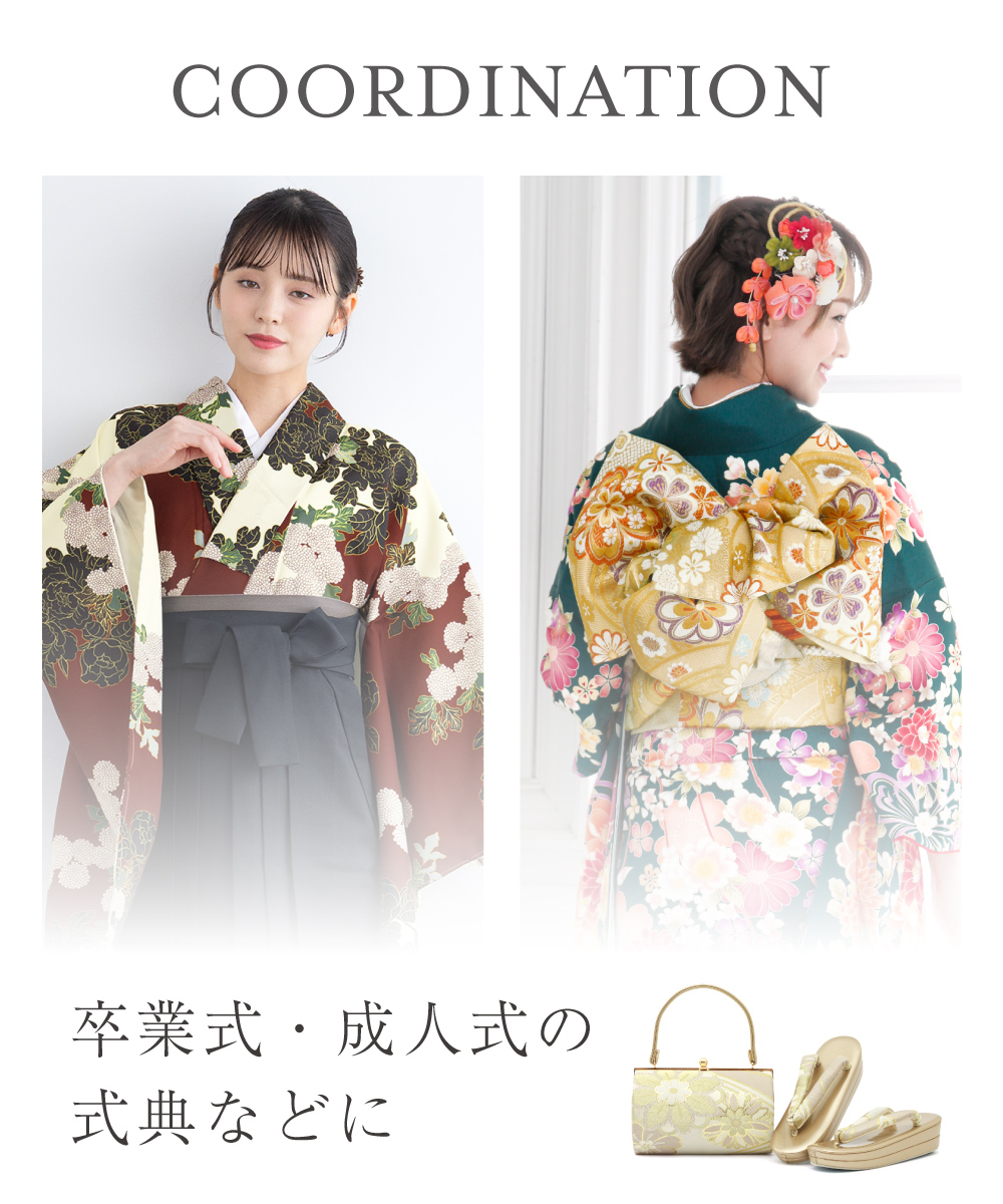 和装バッグ 草履バッグ セット バッグセット フォーマル 礼装 袖 前